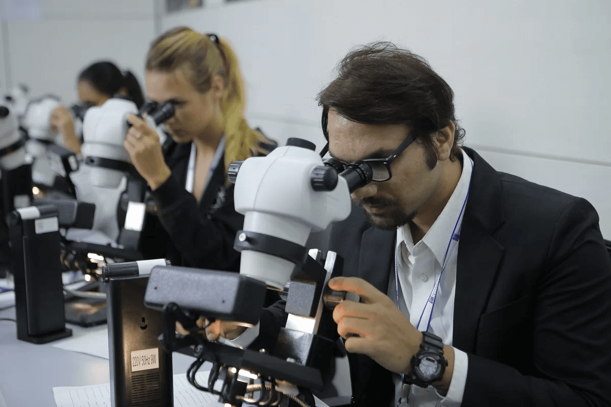 Texnologik ekspertiza